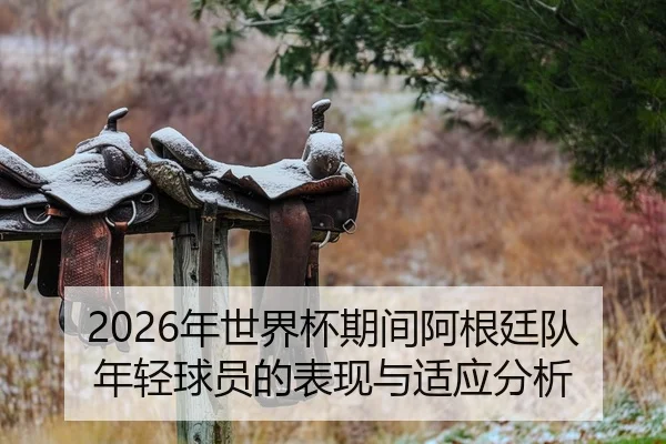 nian-shi-jie-bei-qi-jian-a-gen-ting-dui-nian-qing-qiu-yuan-de-biao-xian-yu-shi-ying-fen-xi-2-530.jpg