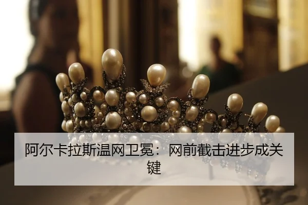 a-er-ka-la-si-wen-wang-wei-mian-wang-qian-jie-ji-jin-bu-cheng-guan-jian-2-750.jpg
