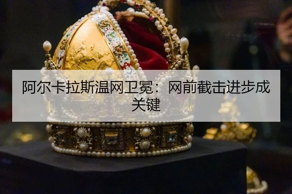 a-er-ka-la-si-wen-wang-wei-mian-wang-qian-jie-ji-jin-bu-cheng-guan-jian-3-936.jpg