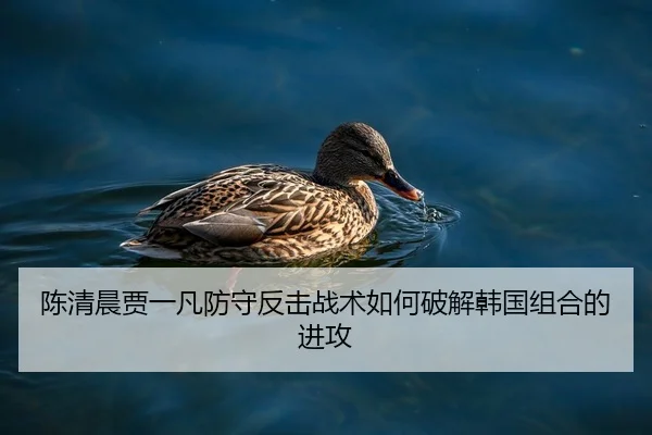 chen-qing-chen-jia-yi-fan-fang-shou-fan-ji-zhan-shu-ru-he-po-jie-han-guo-zu-he-de-jin-gong-2-855.jpg