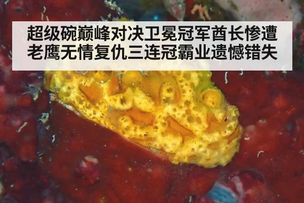 超级碗巅峰对决卫冕冠军酋长惨遭老鹰无情复仇三连冠霸业遗憾错失