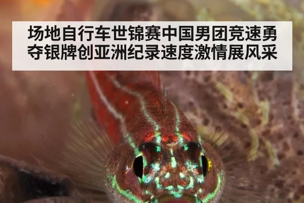 场地自行车世锦赛中国男团竞速勇夺银牌创亚洲纪录速度激情展风采