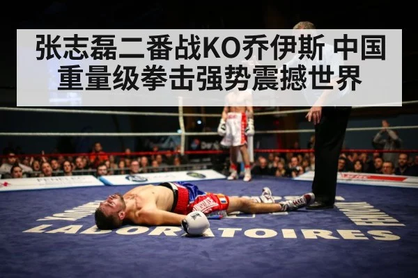 boxer knockout