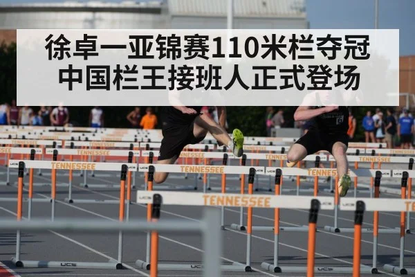 徐卓一亚锦赛110米栏夺冠 中国栏王接班人正式登场